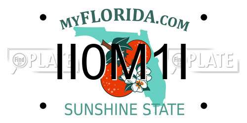 II0M1I Florida License Plate