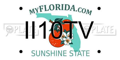 II10TV Florida License Plate