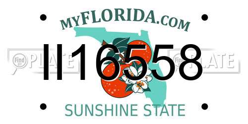 II16558 Florida License Plate