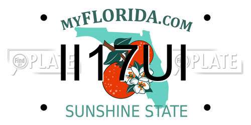 II17UI Florida License Plate