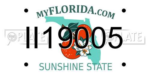 II19005 Florida License Plate