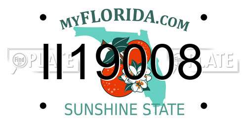 II19008 Florida License Plate
