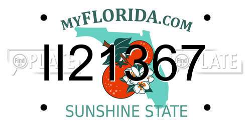 II21367 Florida License Plate