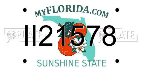 II21578 Florida License Plate