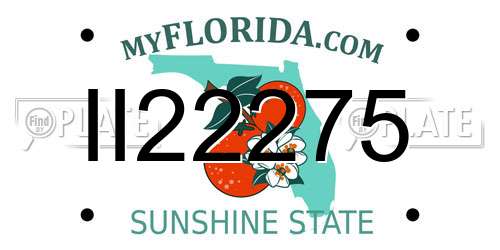 II22275 Florida License Plate