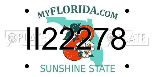 II22278 Florida License Plate