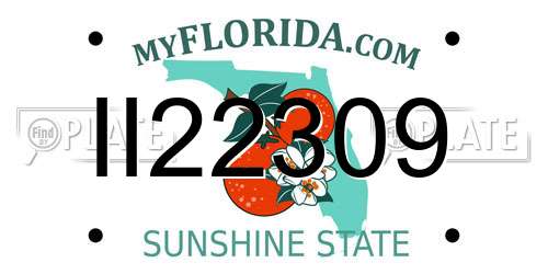 II22309 Florida License Plate