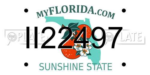 II22497 Florida License Plate