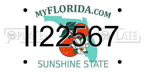 II22567 Florida License Plate