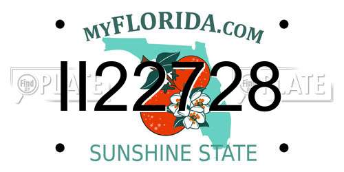 II22728 Florida License Plate
