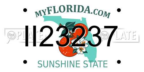 II23237 Florida License Plate