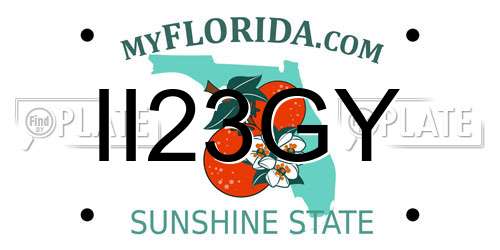 II23GY Florida License Plate