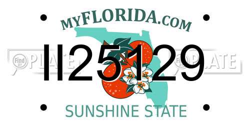 II25129 Florida License Plate