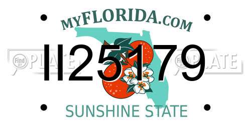 II25179 Florida License Plate