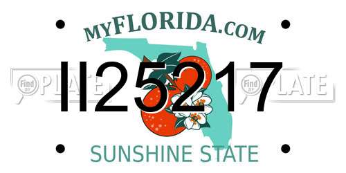 II25217 Florida License Plate