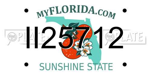 II25712 Florida License Plate