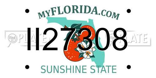II27308 Florida License Plate