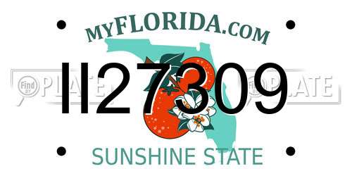 II27309 Florida License Plate