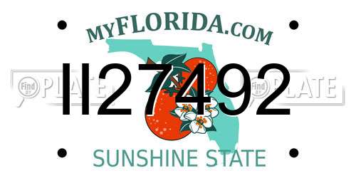 II27492 Florida License Plate