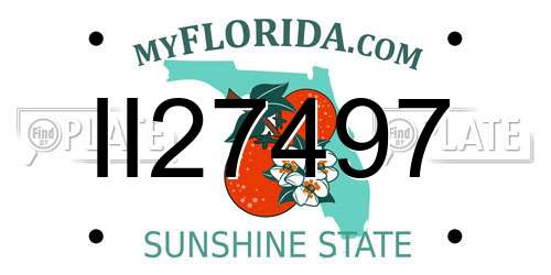 II27497 Florida License Plate