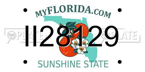 II28129 Florida License Plate