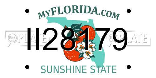 II28179 Florida License Plate