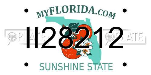 II28212 Florida License Plate