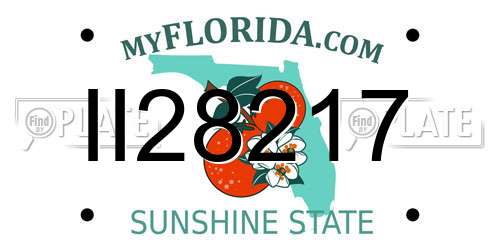 II28217 Florida License Plate