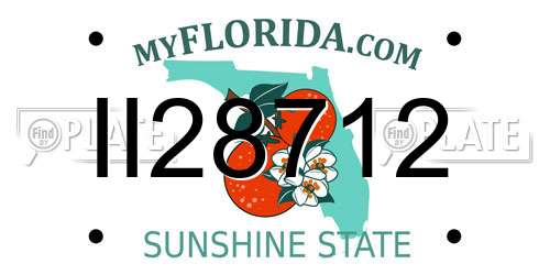 II28712 Florida License Plate
