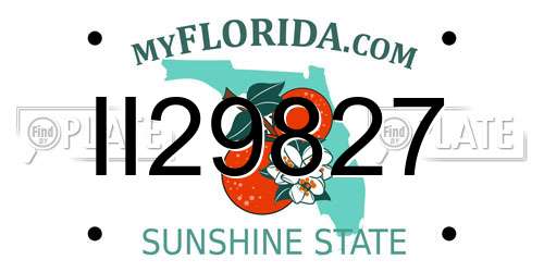II29827 Florida License Plate