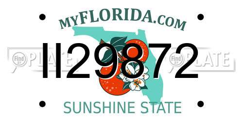 II29872 Florida License Plate