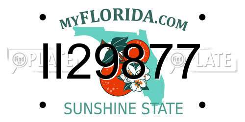 II29877 Florida License Plate
