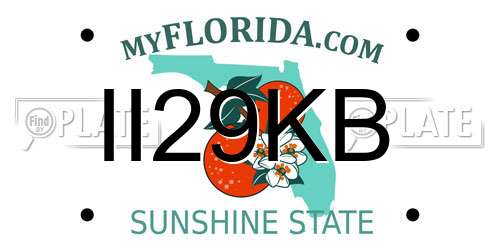 II29KB Florida License Plate
