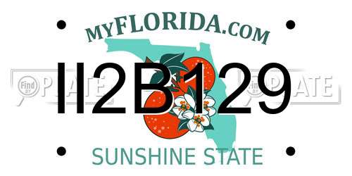 II2B129 Florida License Plate