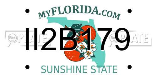 II2B179 Florida License Plate