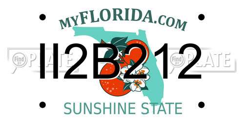 II2B212 Florida License Plate