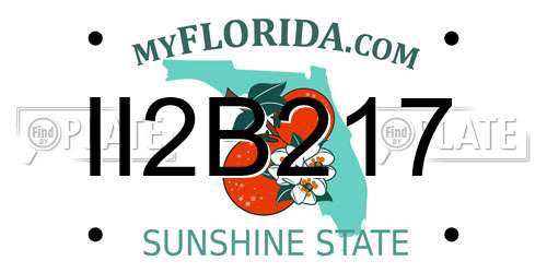 II2B217 Florida License Plate