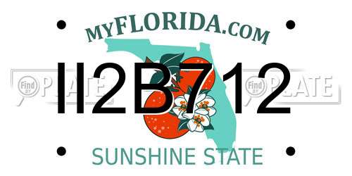 II2B712 Florida License Plate