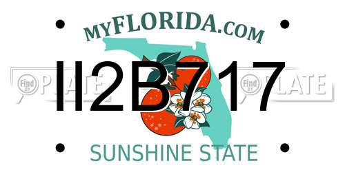 II2B717 Florida License Plate