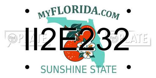 II2E232 Florida License Plate
