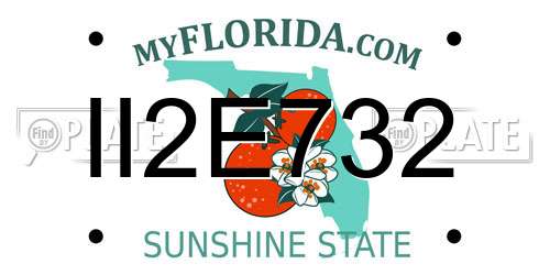 II2E732 Florida License Plate
