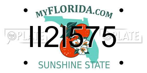 II2I575 Florida License Plate