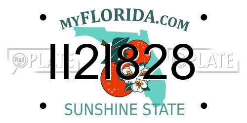 II2I828 Florida License Plate