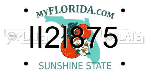 II2I875 Florida License Plate