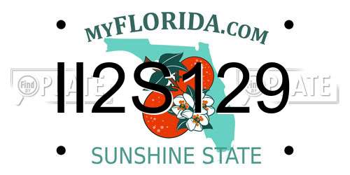 II2S129 Florida License Plate
