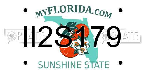II2S179 Florida License Plate
