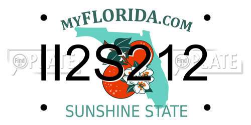 II2S212 Florida License Plate