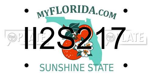 II2S217 Florida License Plate