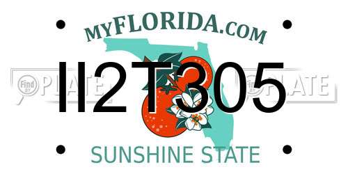 II2T305 Florida License Plate