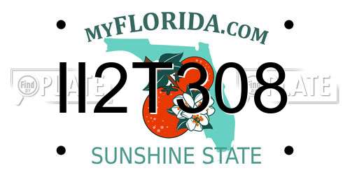II2T308 Florida License Plate